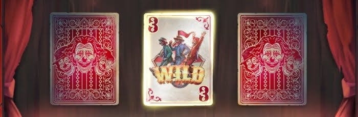 coelho slot png