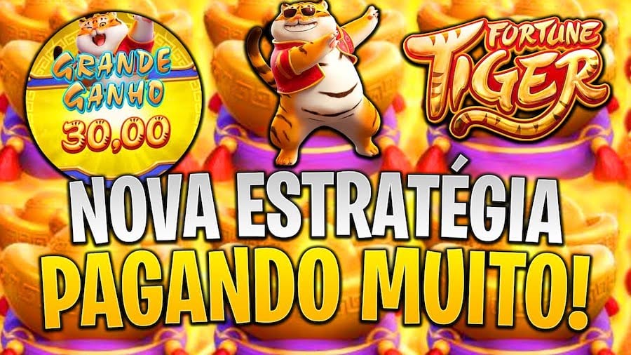 esportiva bet