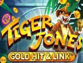 sonhar que ganha em jogo de aposta